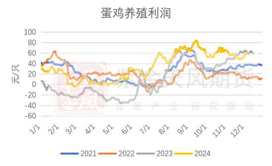 玉米：静待花开